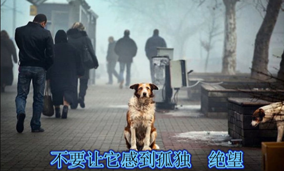 黄南黄南爱影圈微博微信转发案例